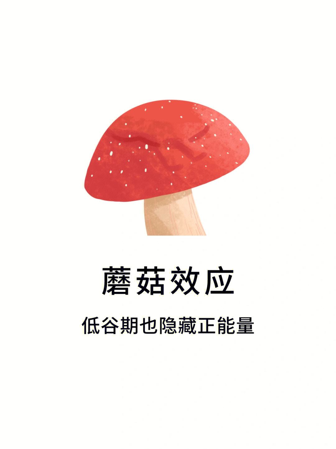 src=http---safe-img.xhscdn.com-bw1-52f0778b-10d5-4f3a-aefe-4fa22430ff6b?imageView2-2-w-1080-format-jpg&refer=http---safe-img.xhscdn.com&app=2002&size=f9999,10000&q=a80&n=0&g=0n&fmt=auto.jpeg