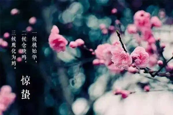 图二.jpg