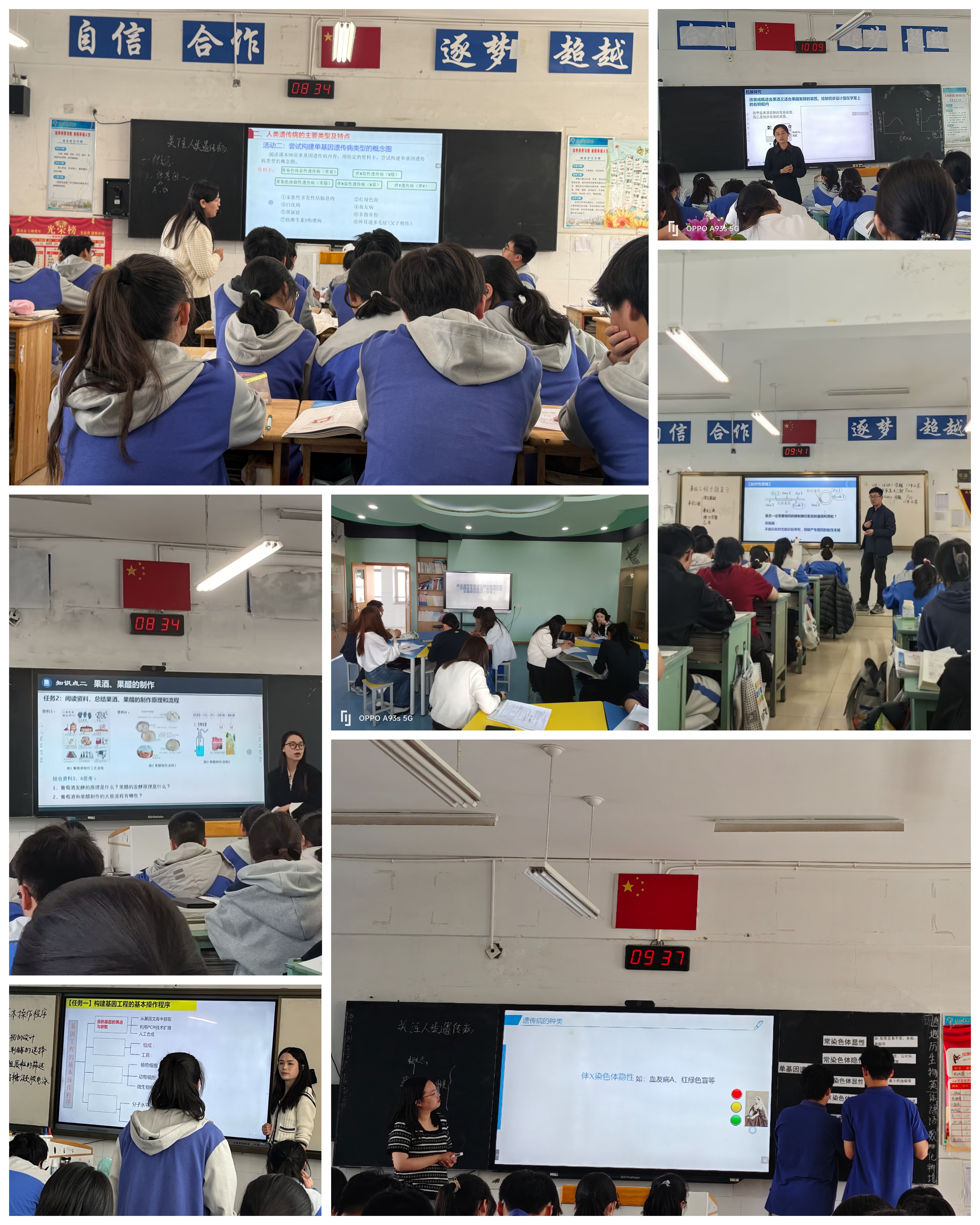 Collage_20250429_164027.jpg